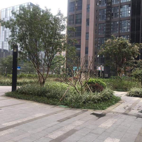 拉美国际公寓(广州金洲地铁站店)